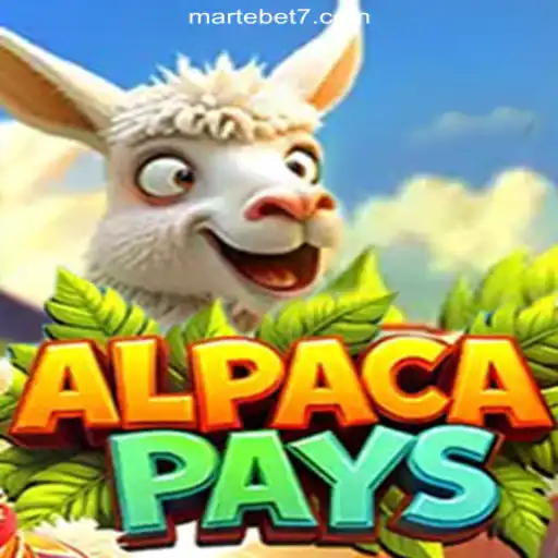 Discover AlpacaPays: A Premium Experience on Martebet777 Platform